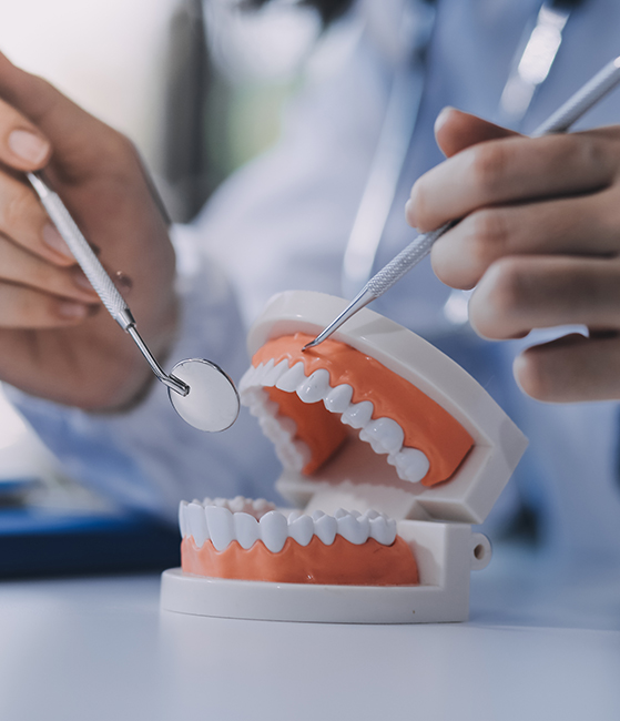 The image depicts a dental professional working on a model of a mouth with teeth, using tools to manipulate the teeth.